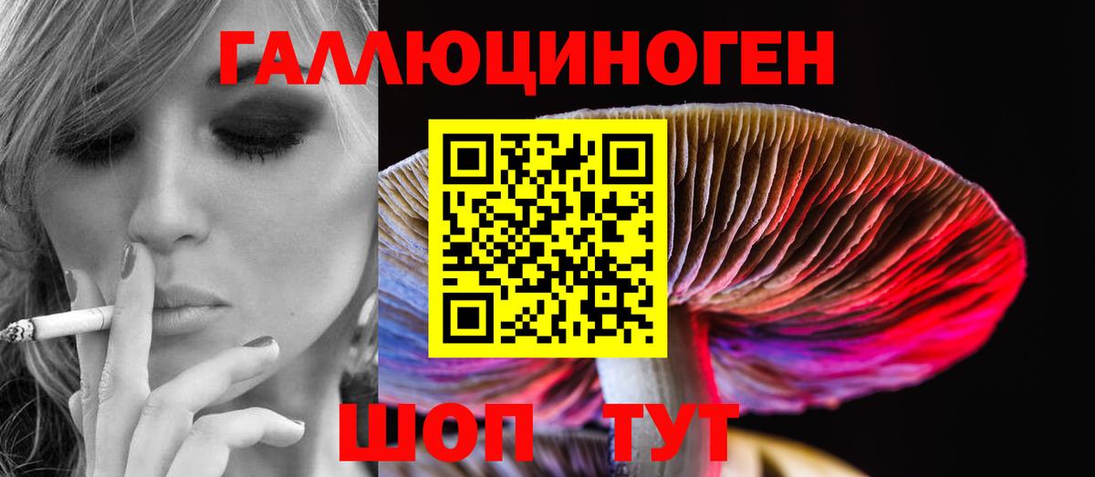 Галлюциногенные грибы Psilocybine cubensis  Вход с VPN  Вышний Волочёк 